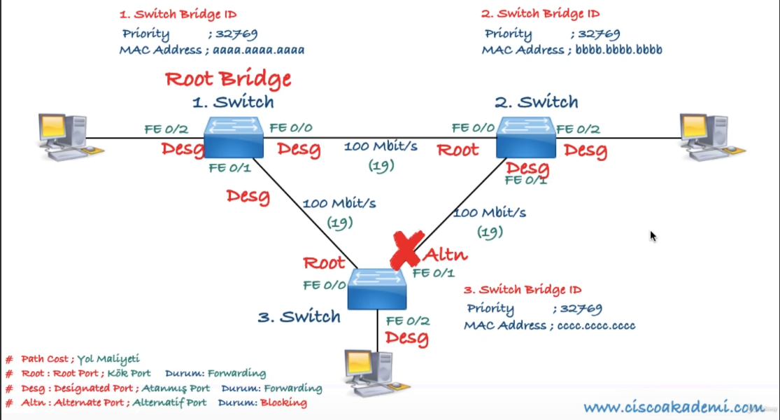 STP Topology