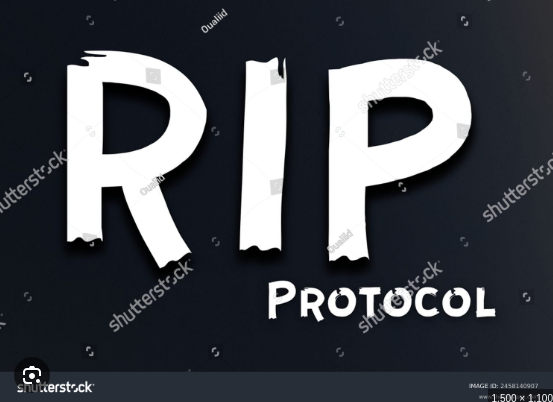 
        RIP Protokolü - Featured image
      