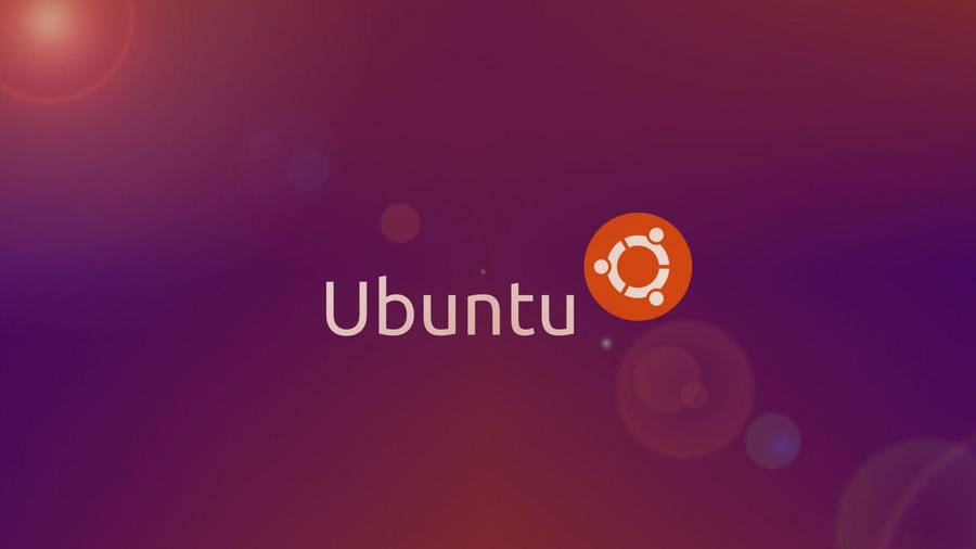 
          Ubuntu 22.04 DHCP Server Konfigürasyonu - Featured image
        